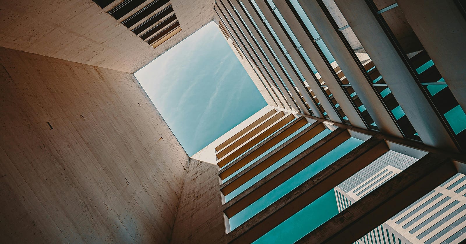 Fostering Curiosity: The key to Growth, Innovation, and Success